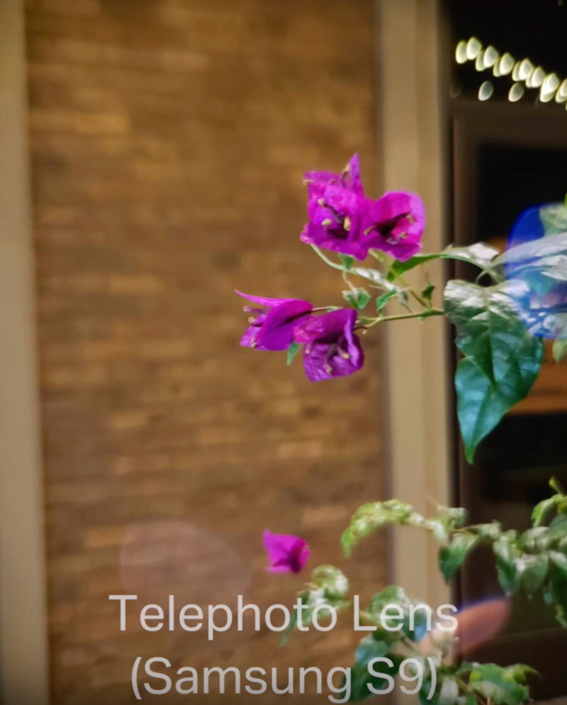 Olloclip telephoto lens Samsung S9 test