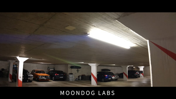 Moondog labs test